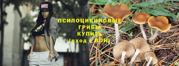 дмт Беломорск