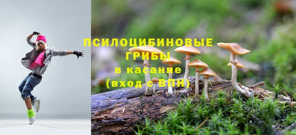 трава Баксан